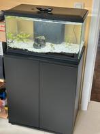 Aquarium complet + meuble + accessoires et produits, Animaux & Accessoires, Poissons | Aquariums & Accessoires, Enlèvement, Utilisé