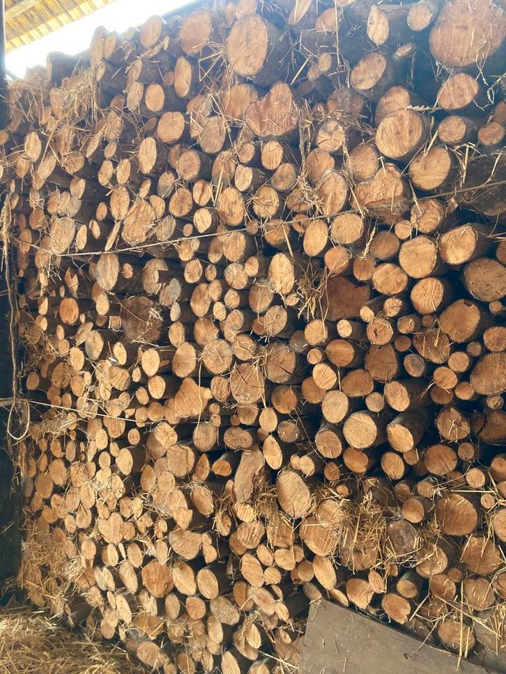 Brandhout wilg en els, Tuin en Terras, Brandhout, Stammen, Overige houtsoorten, 6 m³ of meer, Ophalen