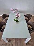 Design glazen tafel Kristalia 166 x 100 cm, Huis en Inrichting, Ophalen, Gebruikt, 100 tot 150 cm, Glas