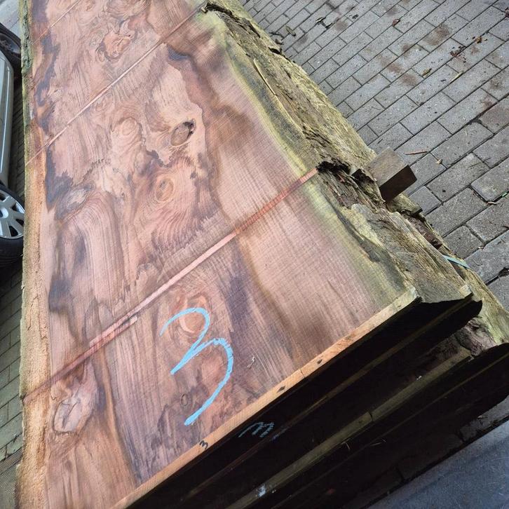 Lot XXL boomstambladen schaaldelen sequoia, Tuin en Terras, Palen, Balken en Planken, Ophalen