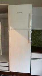 Liebherr koelkast met vriesvak - 170 x 60 cm, Classe énergétique A ou plus économe, Avec compartiment congélateur, 160 cm ou plus