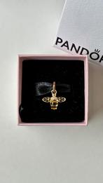 Pandora bedel bij goud, Pandora, Nieuw, Ophalen of Verzenden, Goud