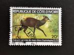 Cote d'Ivoire 1979 - Cephalophus - bedreigde dieren, Ophalen of Verzenden, Dier of Natuur, Gestempeld