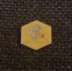 PIN - MIELS CHAILAN - MIEL - HONING - BIJ - ABEILLE, Collections, Envoi, Utilisé, Autres sujets/thèmes, Insigne ou Pin's