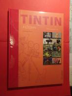 BD Tintin à l'écran - Hergé/Maricq, Enlèvement ou Envoi, Tintin, Utilisé, Livre ou Jeu
