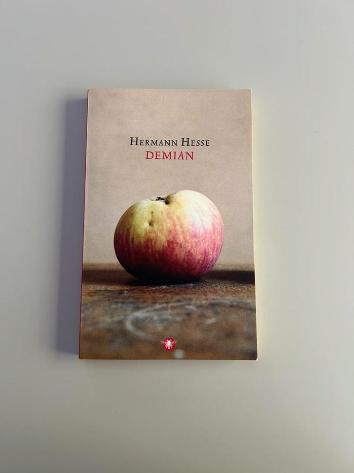 Boek Demian van Hermann Hesse, Boeken, Romans, Zo goed als nieuw, Nederland, Ophalen of Verzenden