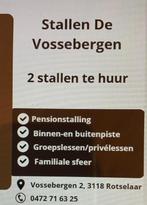 Stallen beschikbaar in stallen de vossebergen, Dieren en Toebehoren, Stalling en Weidegang, Stalling