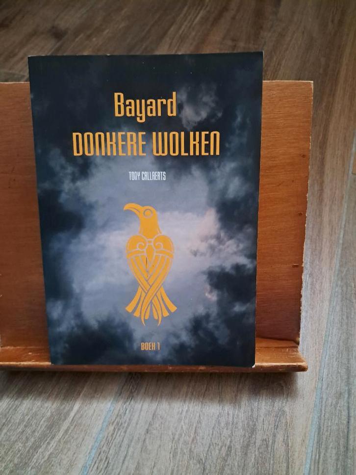 BAYERD "DONKERE WOLKEN", Boeken, Overige Boeken, Zo goed als nieuw, Ophalen of Verzenden