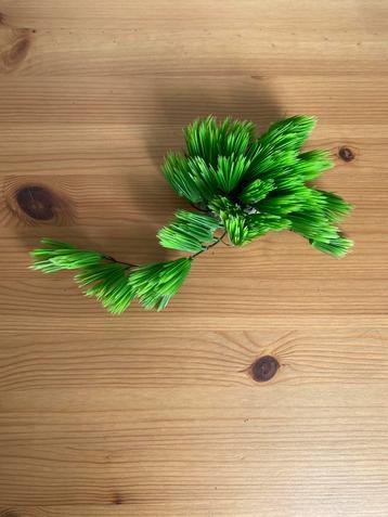 Aquarium decoratie beschikbaar voor biedingen