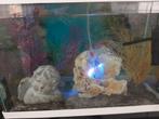 Gezocht groot aquarium op kast gratis., Dieren en Toebehoren, Ophalen, Zo goed als nieuw, Leeg aquarium