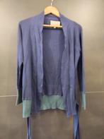 Cardigan Annemie Verbeke, Kleding | Dames, Gedragen, Blauw, Maat 36 (S), Ophalen