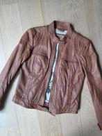 Oakwood, leder jasje, M, Kleding | Dames, Maat 38/40 (M), Bruin, Ophalen of Verzenden, Jasje