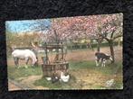 Vakantie kaartje Frankrijk Normandië 1956, Verzamelen, Ophalen of Verzenden, 1940 tot 1960, Gelopen, Frankrijk
