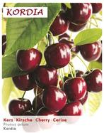 LAAGSTAM KERSENBOMEN: oa REGINA, KORDIA, BIG. BURLAT,.. 15€, Ophalen, Volle zon, Vaste plant, Fruitplanten