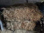 Hooi 2025 te koop, Enlèvement