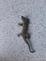 Zilveren 925 gecko broche met marcasietstenen, Handtassen en Accessoires, Broches, Ophalen of Verzenden, Gebruikt, Zilver, Zilver