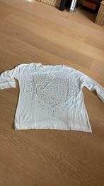 Shirt Passport maat 38/40, Ophalen of Verzenden, Zo goed als nieuw, Maat 38/40 (M)
