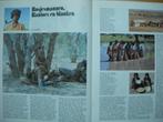 Bosjesmannen in de Kalahari, Kung, Verzenden