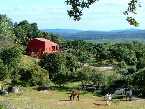 Domaine privé à vendre : 3 maisons dans un paysage de montag, Immo, Étranger, Espagne, Maison d'habitation, Autres, Ventes sans courtier