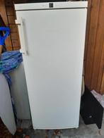 1 diepvries liebherr, Elektronische apparatuur, Ophalen of Verzenden