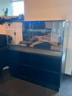 Terrarium + kast op maat, Dieren en Toebehoren, Ophalen, Gebruikt, Terrarium of Paludarium