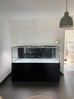 Aquarium +- 1000L, Enlèvement, Utilisé