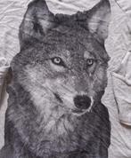 Manches longues avec loup - taille 164 -> 2€, Garçon, Enlèvement ou Envoi, Chemise ou À manches longues, JBC