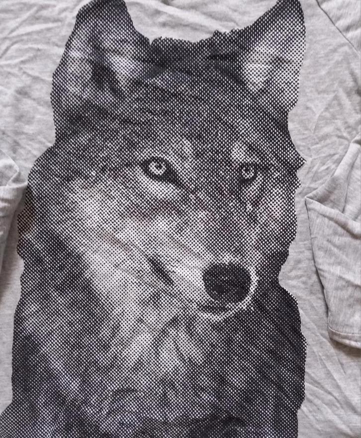 Longsleeve met wolf op - maat 164 -> 2€, Kinderen en Baby's, Kinderkleding | Maat 164, Zo goed als nieuw, Jongen, Shirt of Longsleeve