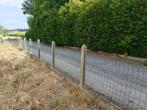 Gratis - Omheining inclusief betonplaten en betonpalen, Ophalen