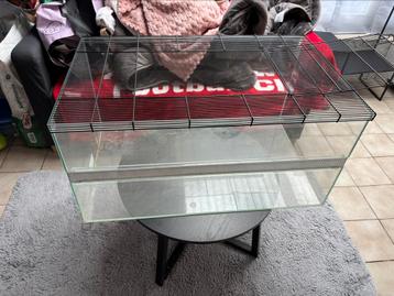 Knaagdieren terrarium + toebehoor beschikbaar voor biedingen