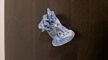 Blauwe zandroos  beschikbaar voor biedingen