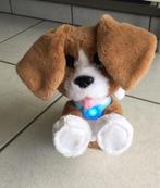 Pluche pratende hond, Ophalen, Zo goed als nieuw, Hond