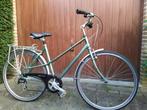 Feiten over gigantische vrouwen, Fietsen en Brommers, 50 tot 53 cm, Ophalen, Gebruikt, Giant