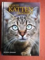 Boeken over katten : encyclopedieën, voeding + verzorging, Ophalen of Verzenden, Gelezen, Katten, Esther Verhoef