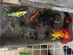 Speelgoed insecten, Enlèvement, Comme neuf, Garçon ou Fille