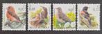 België: OBP 2918/21 ** Vogels 2000., Ophalen of Verzenden, Zonder stempel, Frankeerzegel, Postfris