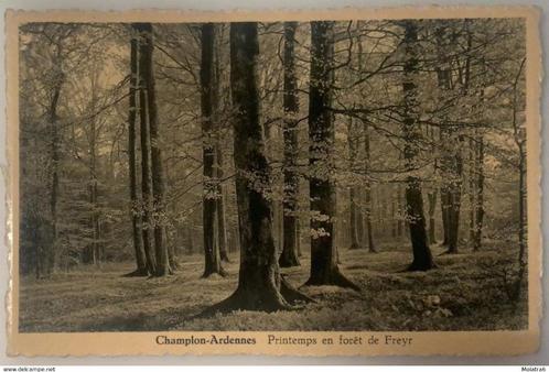 #361 - Champlon-Ardennes, Printemps et Forêt de Freyr 1952, Collections, Cartes postales | Belgique, Affranchie, Luxembourg, 1940 à 1960