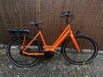 Batavus Dinsdag E-Go Bosch Active Line | E-Bike, Enlèvement, Batavus