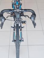 Team sky frog 20inch, Fietsen en Brommers, Ophalen, Gebruikt