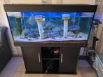 Juwel aquarium met filter en licht, Dieren en Toebehoren, Ophalen