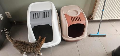 Giant XXL kattenbak, Dieren en Toebehoren, Kattenbakken, Zo goed als nieuw, Ophalen of Verzenden