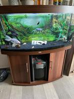 Aquarium juwel 260 vision met kast, Dieren en Toebehoren, Ophalen