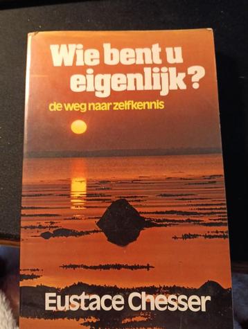 Wie bent u eigenlijk? De weg naar zelfkennis beschikbaar voor biedingen