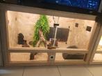 Houte terrarium 80/50/50, Dieren en Toebehoren, Ophalen of Verzenden, Nieuw, Terrarium of Paludarium