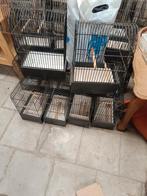 17 Cages oiseaux (concours) possible de vendre à l'unité, Autres types, Enlèvement, Utilisé