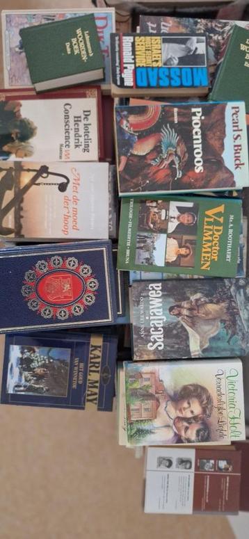 Lot boeken leesboek lektuur Van Dale groot woordenboek disponible aux enchères