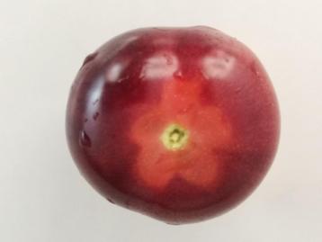 5 tomaat zaden blauwroze kerstomaat Glossy Rose Blue - bio beschikbaar voor biedingen