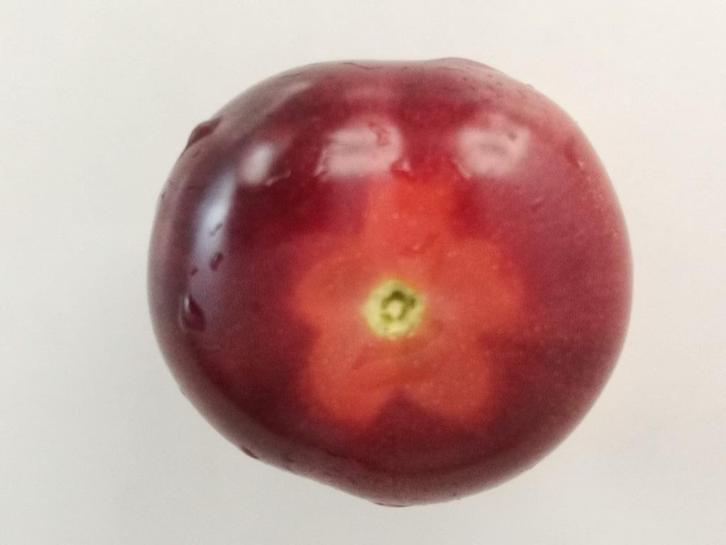 5 tomaat zaden blauwroze kerstomaat Glossy Rose Blue - bio, Tuin en Terras, Bloembollen en Zaden, Zaad, Voorjaar, Verzenden