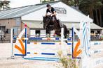 Ruiter zoekt paard, Dieren en Toebehoren, Paarden