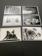 R.laute fotopostkaart, Collections, Photos & Gravures, Comme neuf, Nature, Photo, Enlèvement ou Envoi
